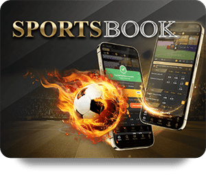 Poker Online Tournaments: How to Compete at the Highest Level
